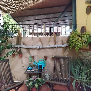  Habitación en casa particular Cool Garden And España